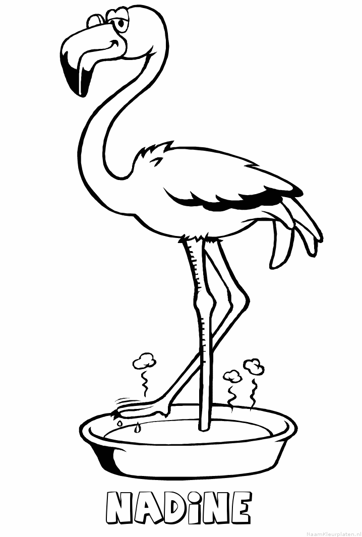  - nadine-flamingo