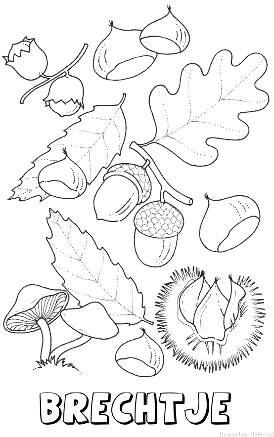 Brechtje herfst kleurplaat