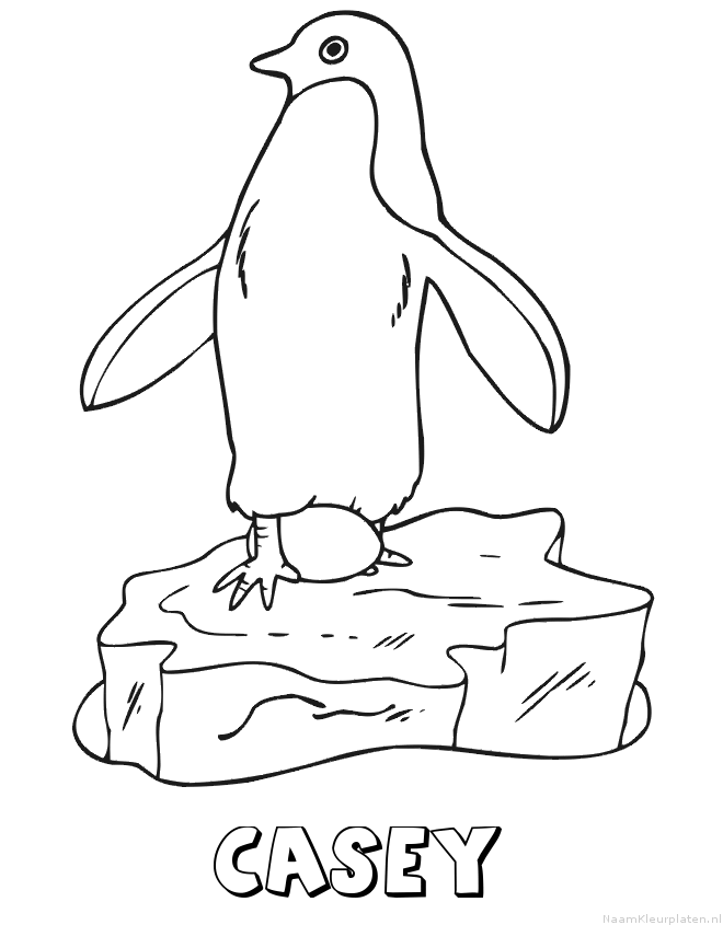 Casey pinguin