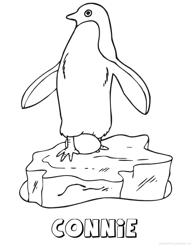 Connie pinguin