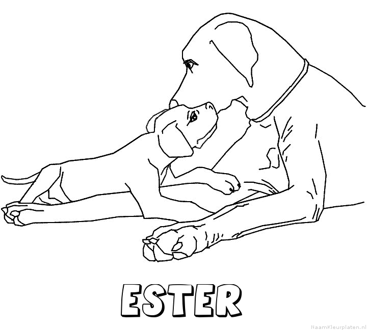 Ester hond puppy