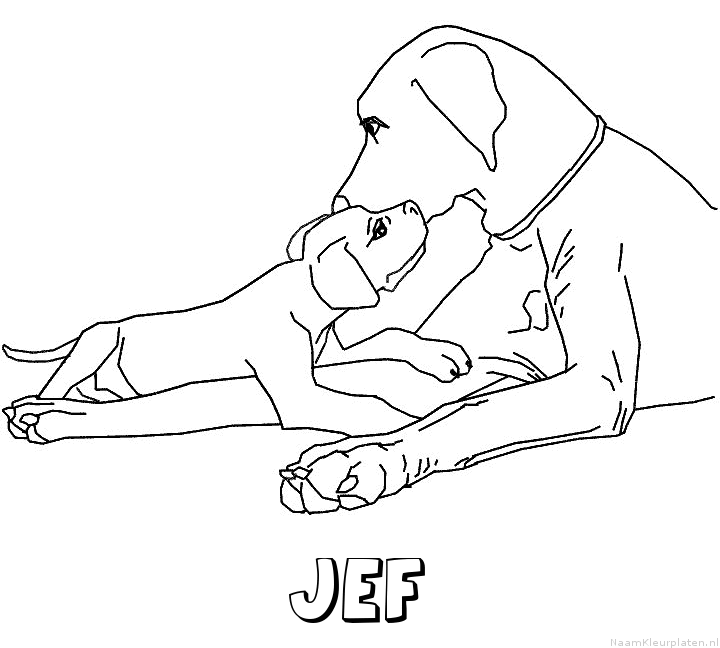 Jef hond puppy