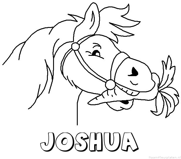 Joshua paard van sinterklaas kleurplaat
