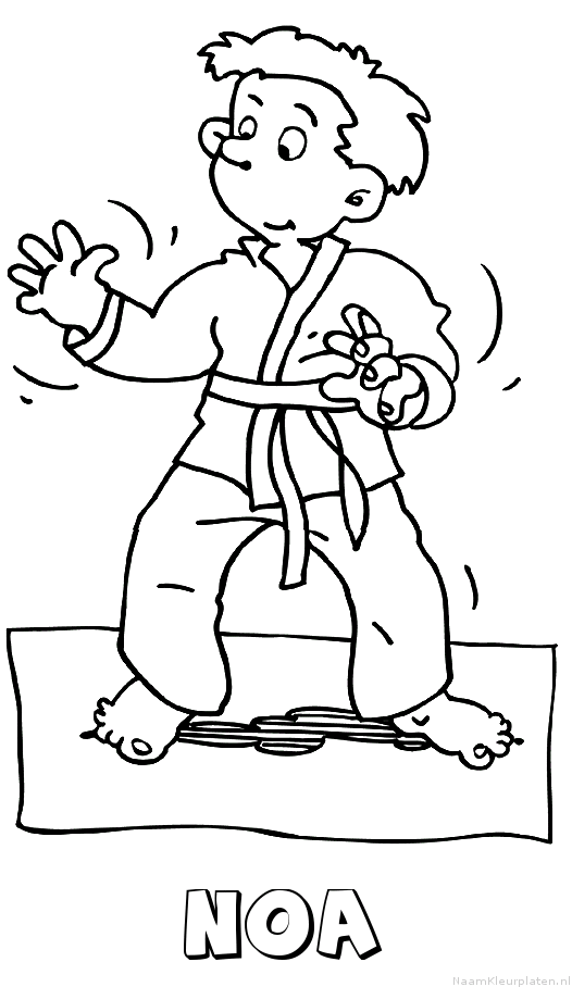 Noa judo