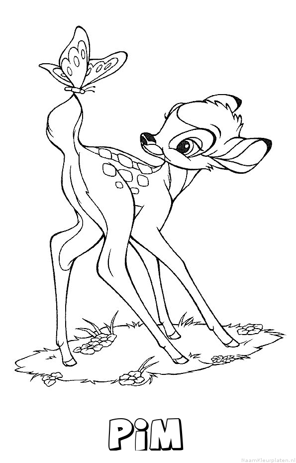 Pim bambi