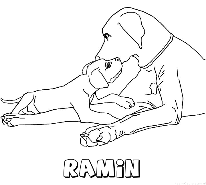 Ramin hond puppy