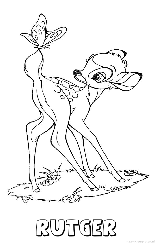 Rutger bambi