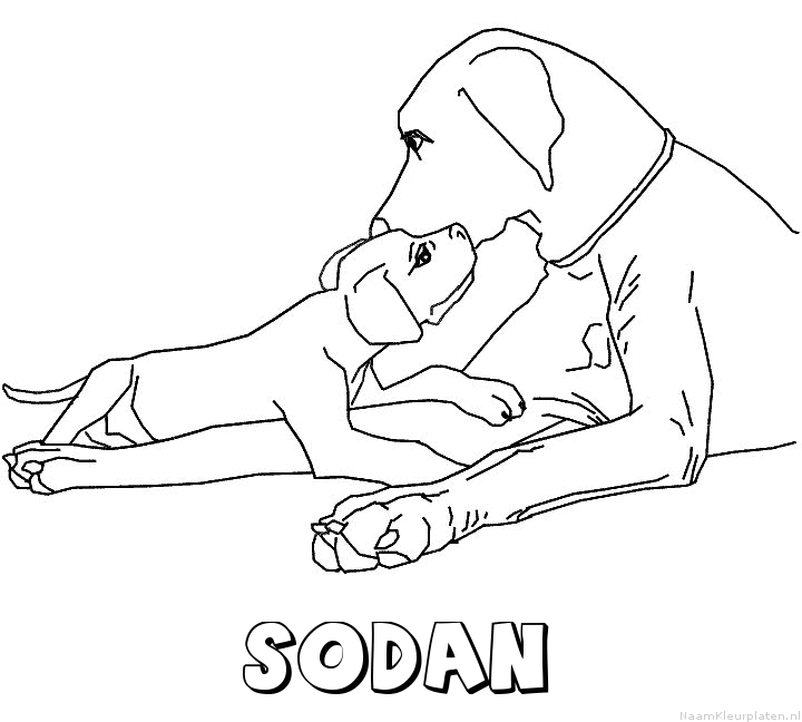 Sodan hond puppy