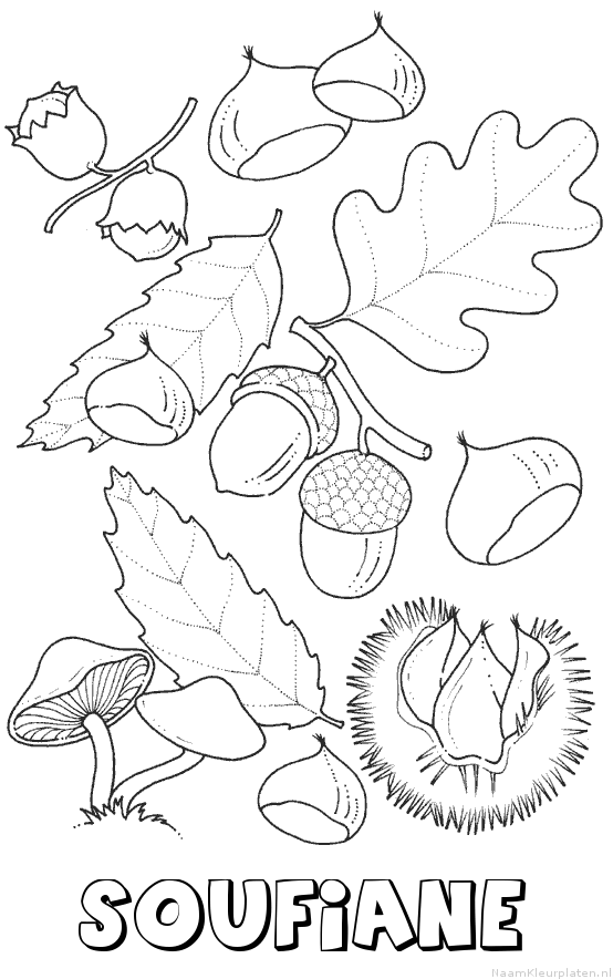 Soufiane herfst kleurplaat