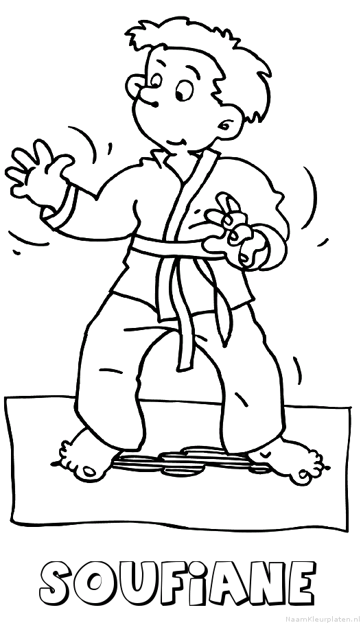 Soufiane judo